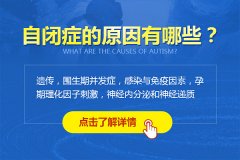 �����r�Y�����]�Y����ʲô�����